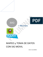 Mapeo Con Sig Movil_mapit_preliminar