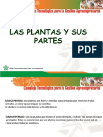 Partes de La Planta 2