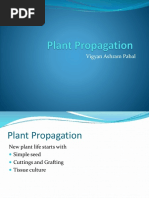 Agriculture - Nursery - Plant Propagation and Nursery Management - Presentation - Plant Propogation