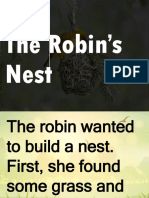 Robin Builds a Nest - How She Made Her Home Step-by-Step