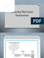 Sistema Autonomo