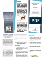 folleto.pdf