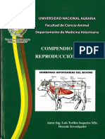 Compendio Reproduccion Animal PDF
