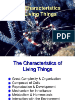 Characteristics of Living Thing