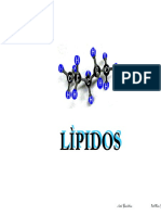 lipidos