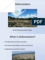 Deforestation: by Sid Steinberg and Ben Heller
