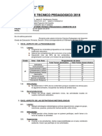 Informe Tecnico Pedagogico 2018 - Santa Teresita