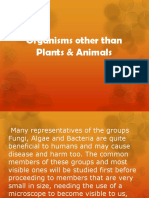 25organisms Other Than Plants & Animals