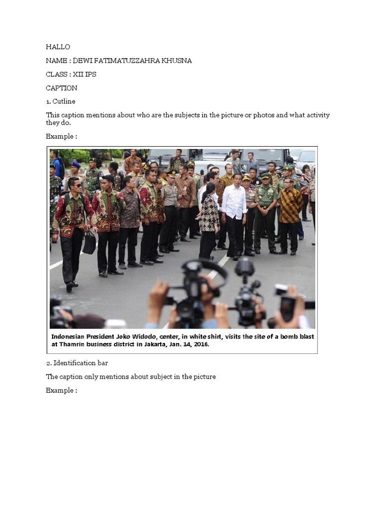 Caption Types and Examples | PDF