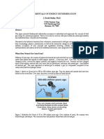 Fundamentals of Energy Determination J David Hailey