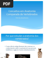Metameria: Segmentação em Animais | PDF