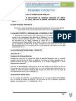 I. RESUMEN EJECUTIVO.docx