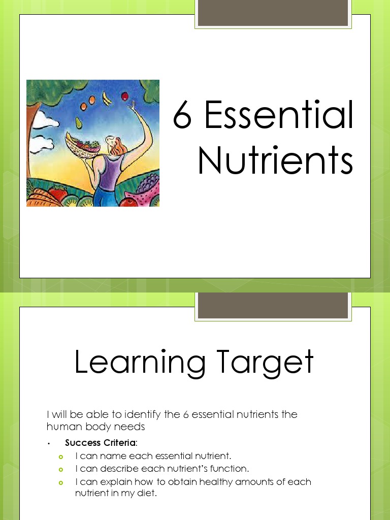 6 Essential Nutrients PDF PDF Fat Nutrients