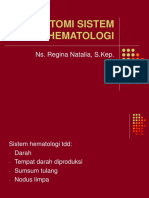 Anatomi Sistem Hematologi