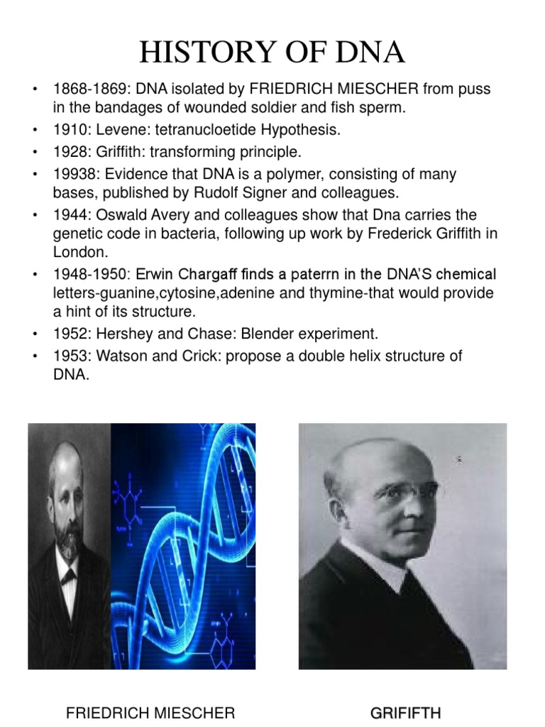 DNA STRUCTURE-Replication, Transcription, and Translation | PDF ...