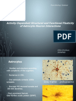 Activity-Dependent Structural and Functional Plasticity of Astrocyte-Neuron Interactions