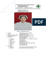 2.2.1 Profil Kepala Puskesmas Nagi