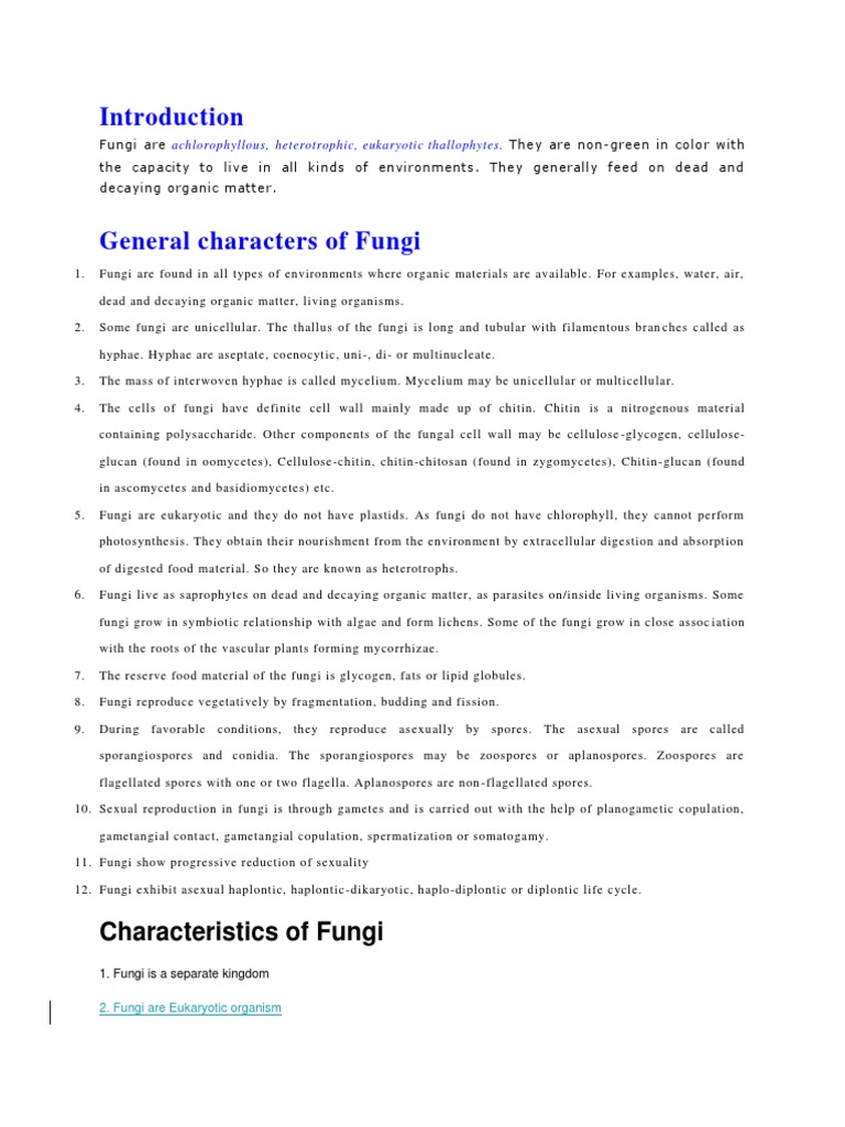 Fungi: Characteristics & Diversity | PDF | Fungus | Yeast