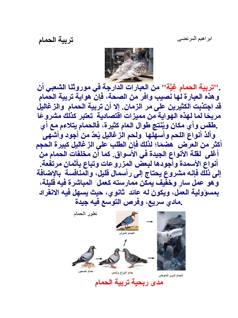 Download-PDF- كتب الحمام كل الكتب | PDF - Scribd