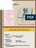 Anatomi Dan Faal