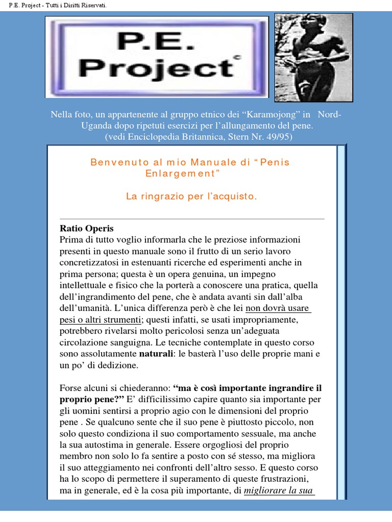 P.E. Project | PDF