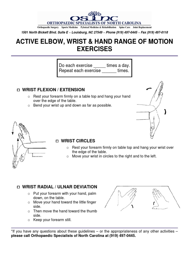 Active Elbow, Wrist & Hand Range of Motion Exercises PDF Anatomical Terms Of Motion Elbow