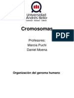 Clase 11. Cromosomas