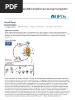 CDC - DPDx - Amebíase