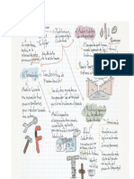 arqueología conductual