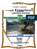 Contaminacion Ambiental