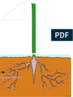 Partes de La Planta