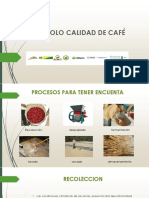 Protocolo de calidad de cafe (1).pptx