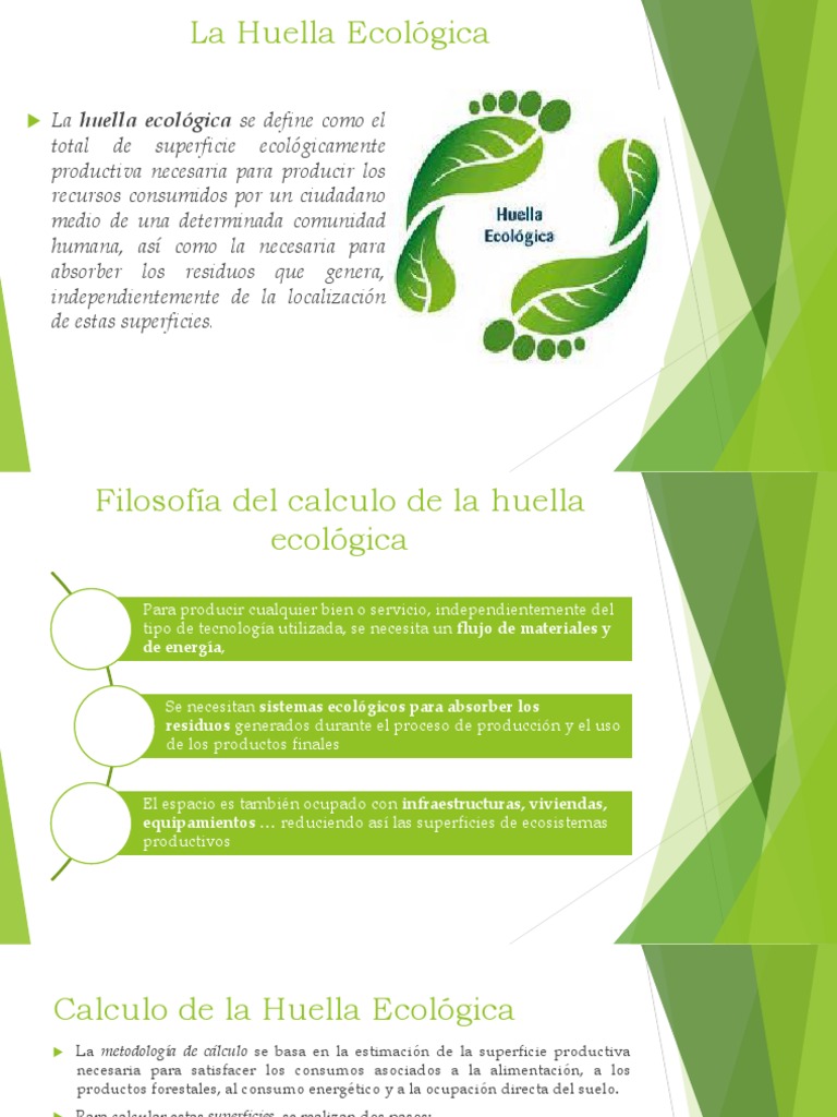 Calculando la Huella Ecológica | PDF | Ecología | Consumo (economía)