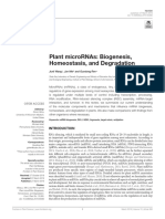 Review - Plant MicroRNAs Biogenesis, Homeostasis, and Degradation