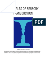 22. Sensory transduction 2008.pdf