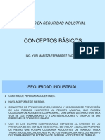 CONCEPTOS BÁSICOS Salud Ocupacional