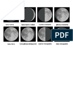 Las Fases de La Luna Graficas