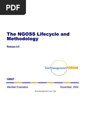 The Ngoss Lifecycle And Methodology Release 4 5 Pdf Product Lifecycle Software Development