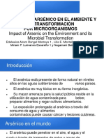 Exposicion de Contaminacion de Arsenico