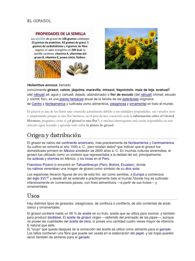 El Girasol | PDF | Plantas | Horticultura y jardinería