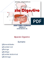 Aparato Digestivo I