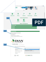 Pasos Para Ingresar Dian