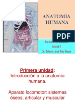 CT - 1 Anatomía, Generalidades.