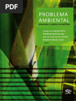 Problema Ambiental