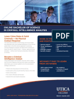 Online Bachelor of Science in Criminal Intelligence Analysis