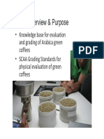 Cupping Protocols For Evaluating Green Beans PDF