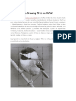 Introducción A Drawing Birds en DVSA