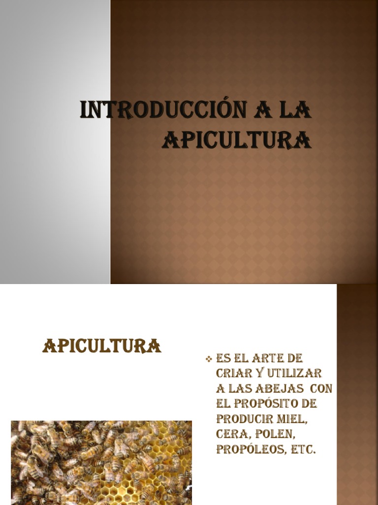 Introducción a la Apicultura y sus Beneficios | PDF | Apicultura | Abejas