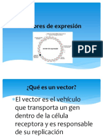 Vectores de Expresion