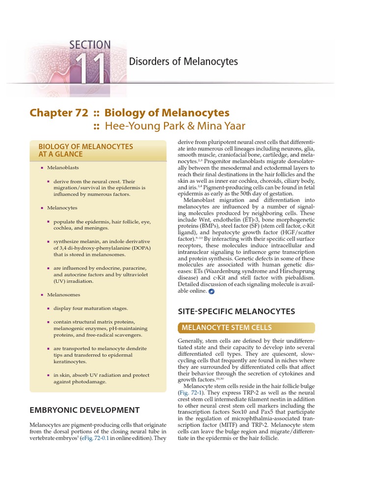 Chapter 72 Biology of Melanocytes HeeYoung Park & Mina Yaar PDF Epidermis Protein Kinase